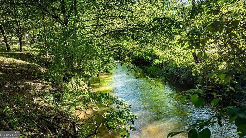 390 Sunny Brook Road Blue Ridge - Photo 11