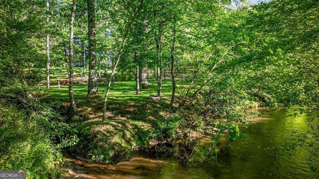 390 Sunny Brook Road Blue Ridge - Photo 13