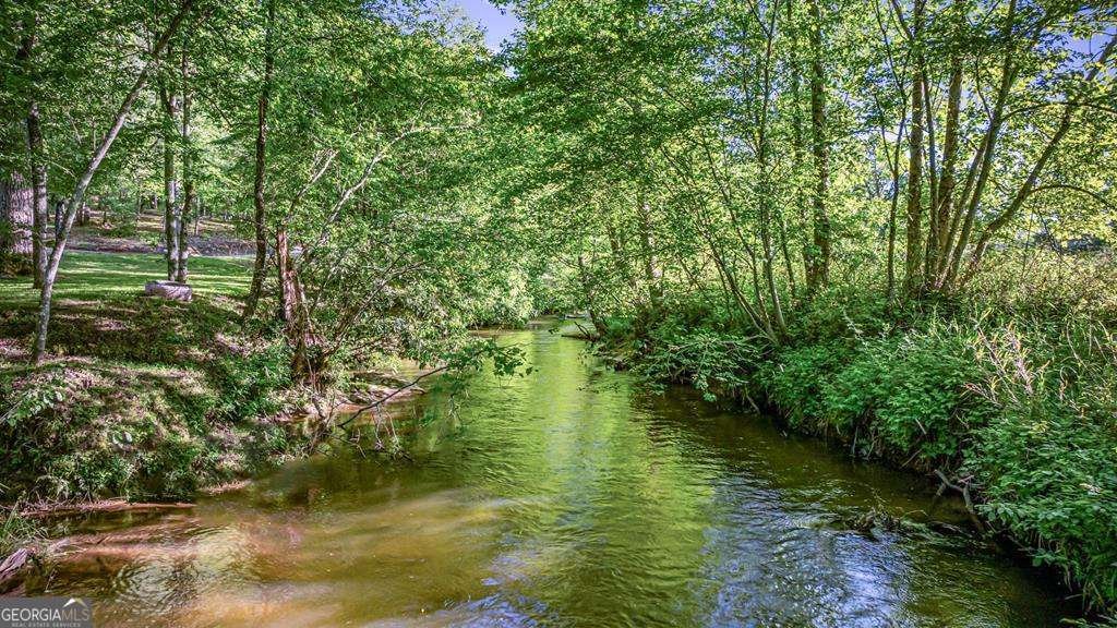 390 Sunny Brook Road Blue Ridge - Photo 14