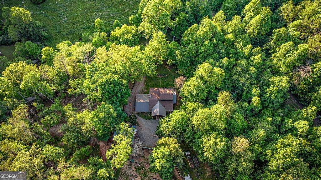 390 Sunny Brook Road Blue Ridge - Photo 15