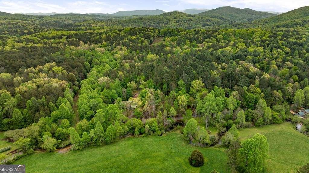 390 Sunny Brook Road Blue Ridge - Photo 16