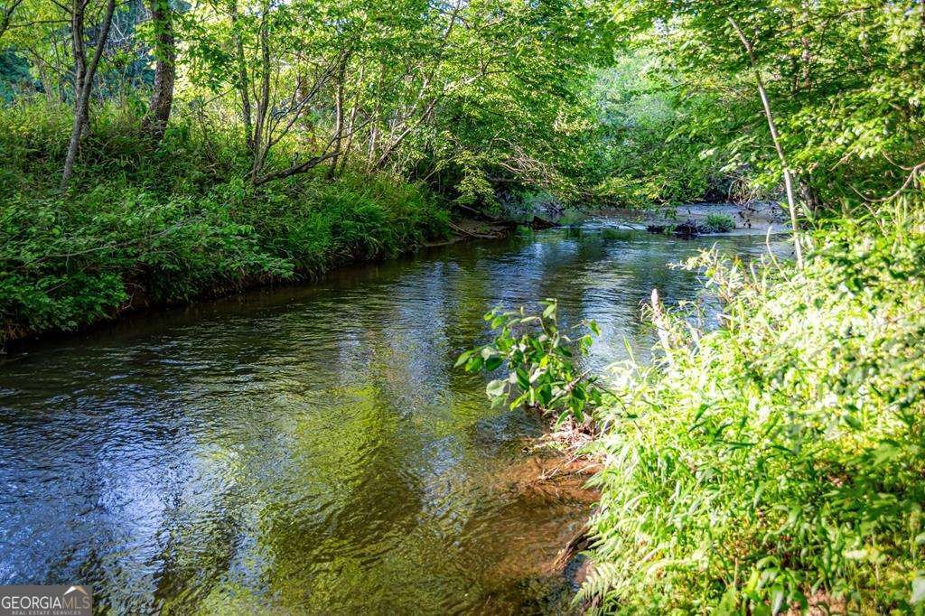 390 Sunny Brook Road Blue Ridge - Photo 49