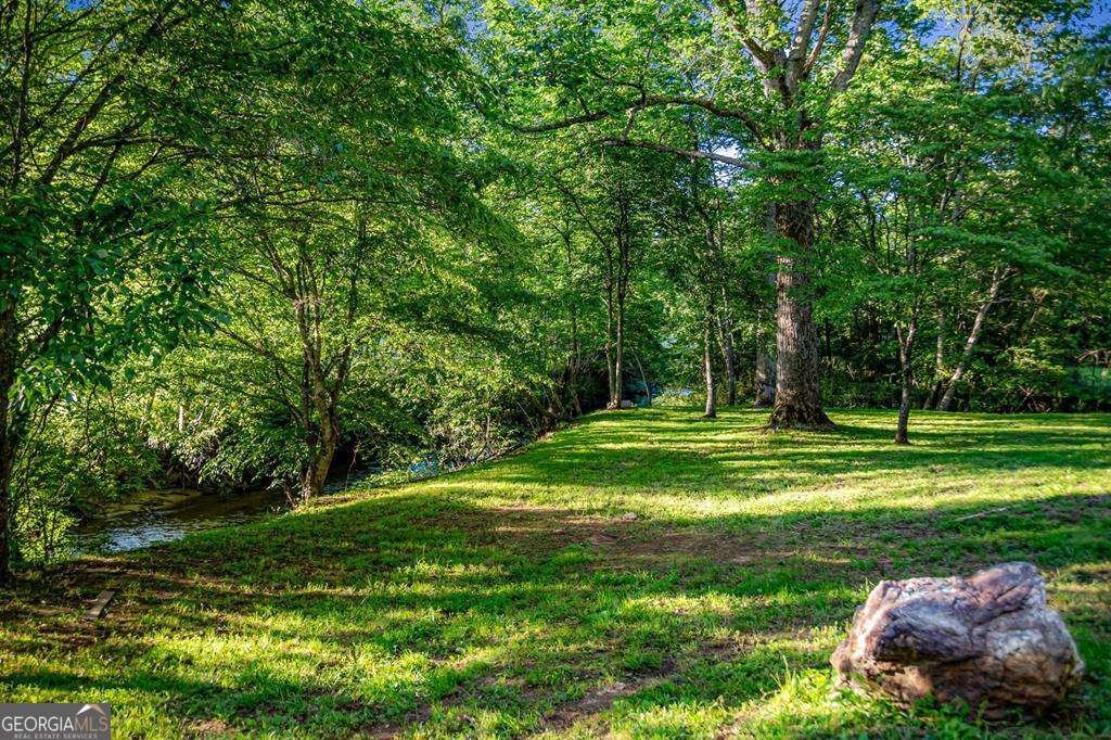 390 Sunny Brook Road Blue Ridge - Photo 51