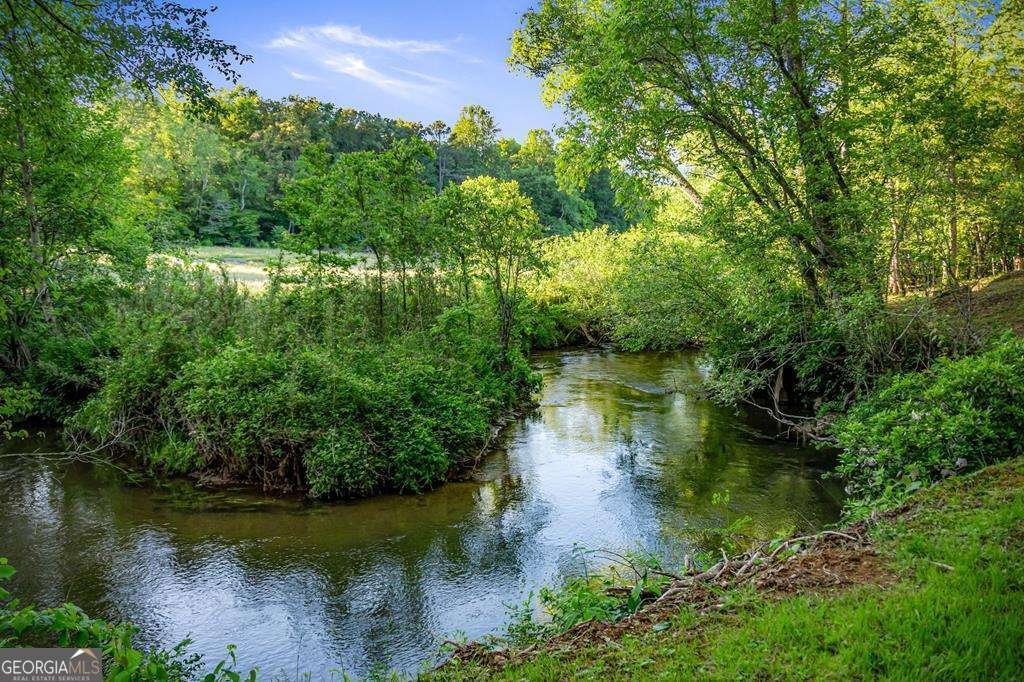 390 Sunny Brook Road Blue Ridge - Photo 52