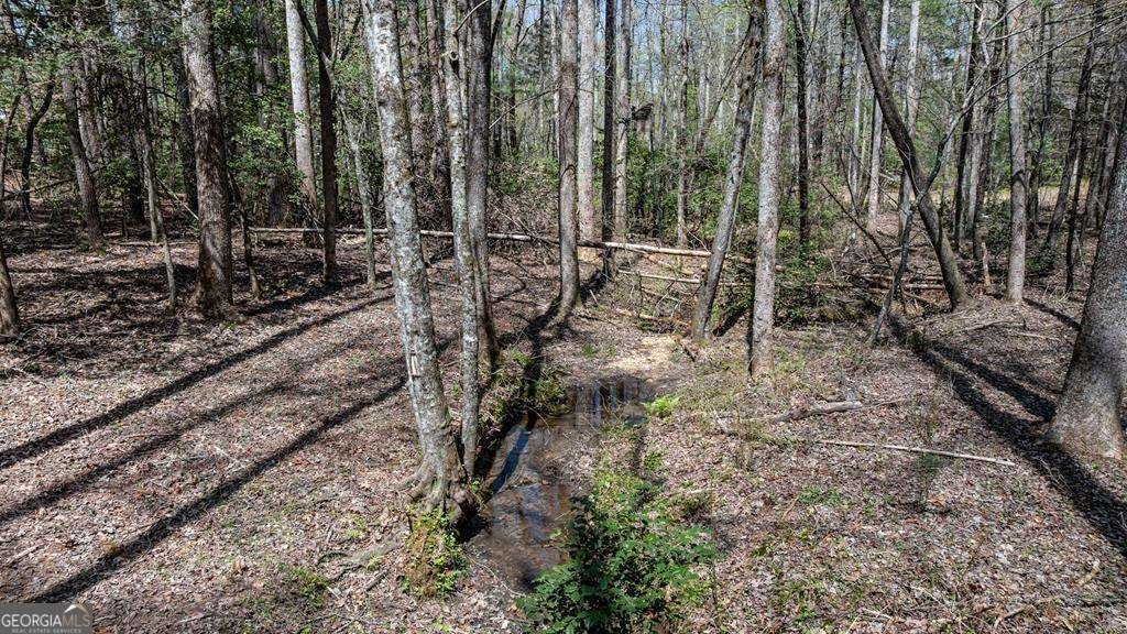 390 Sunny Brook Road Blue Ridge - Photo 55