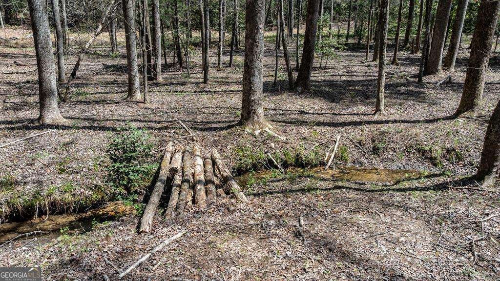 390 Sunny Brook Road Blue Ridge - Photo 56