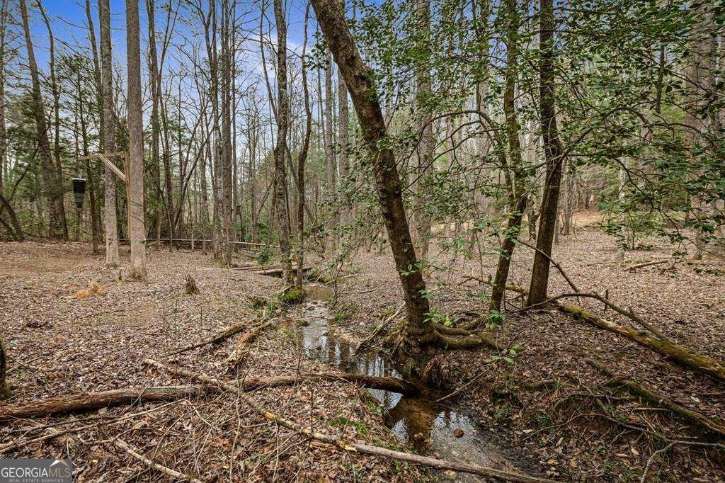 390 Sunny Brook Road Blue Ridge - Photo 59