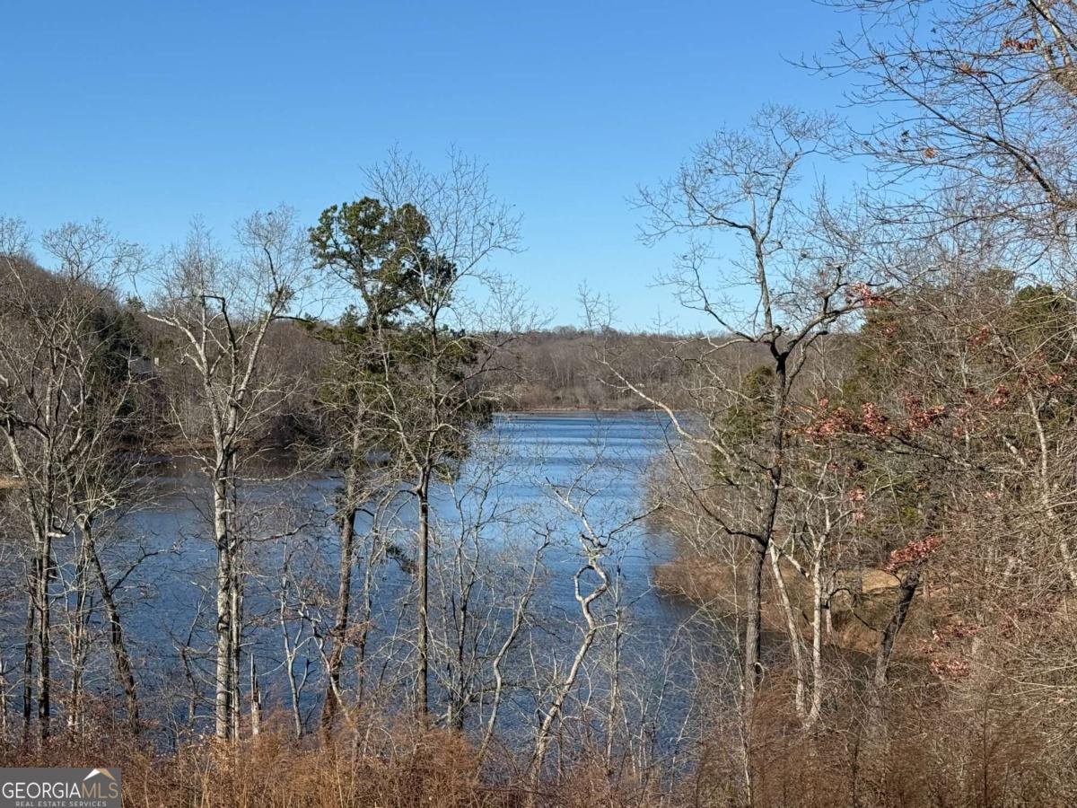 650 East Lake Drive Gainesville - Photo 9