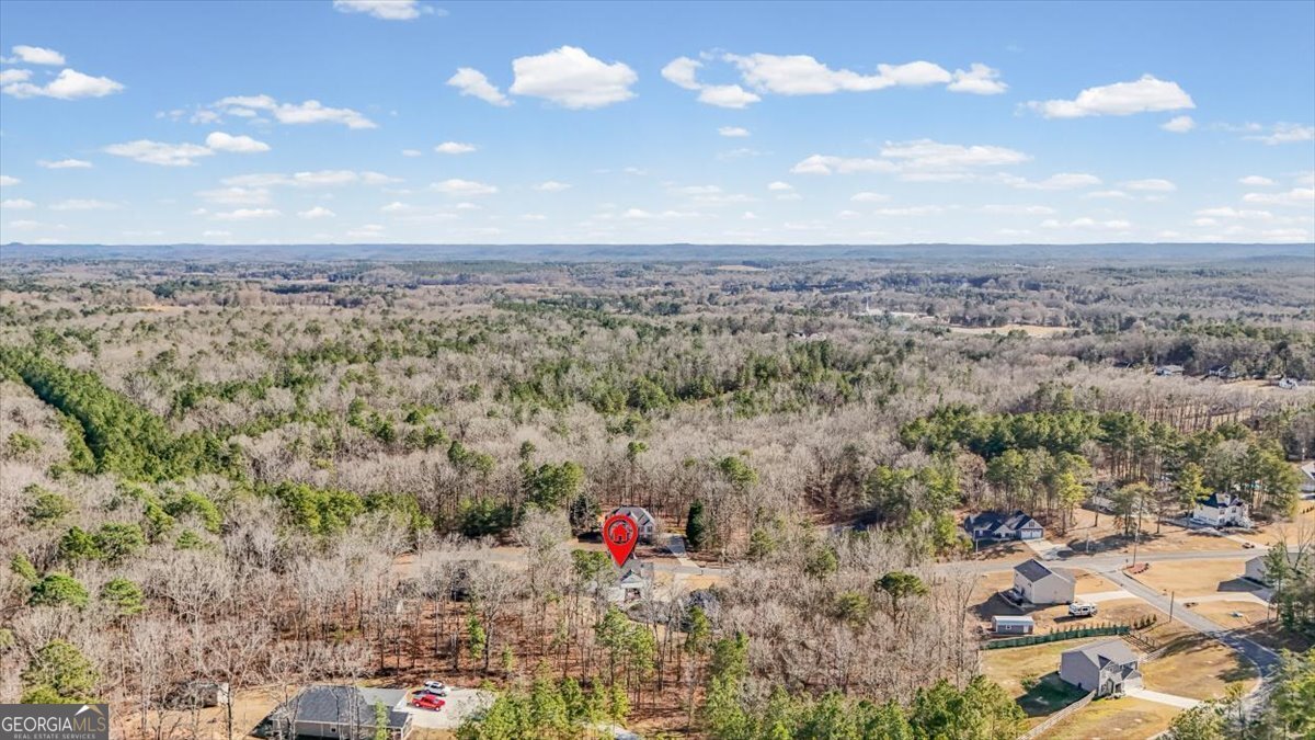 341 Sunset Loop Cedartown - Photo 63