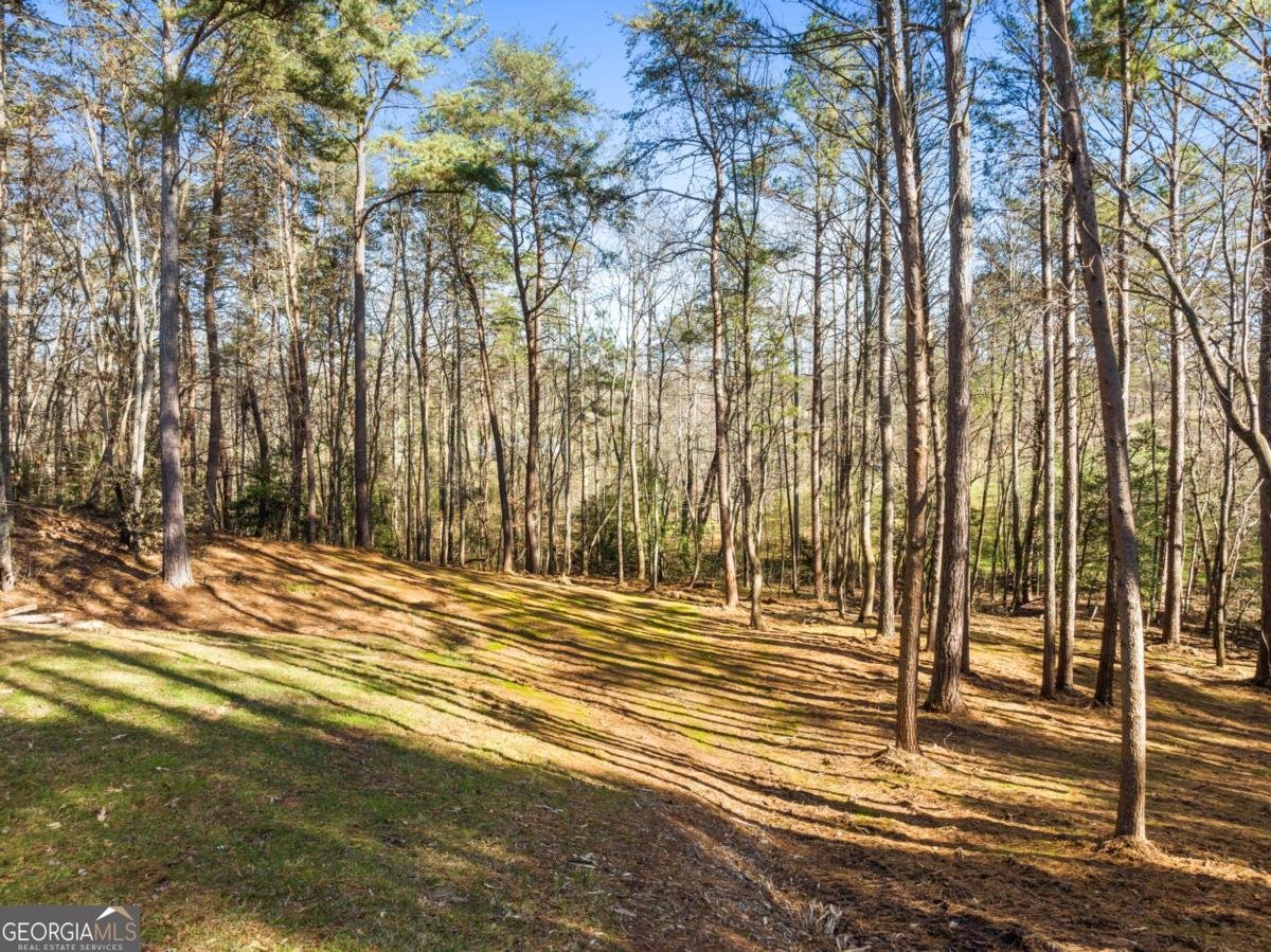 41 Brumby Trail Ellijay - Photo 6