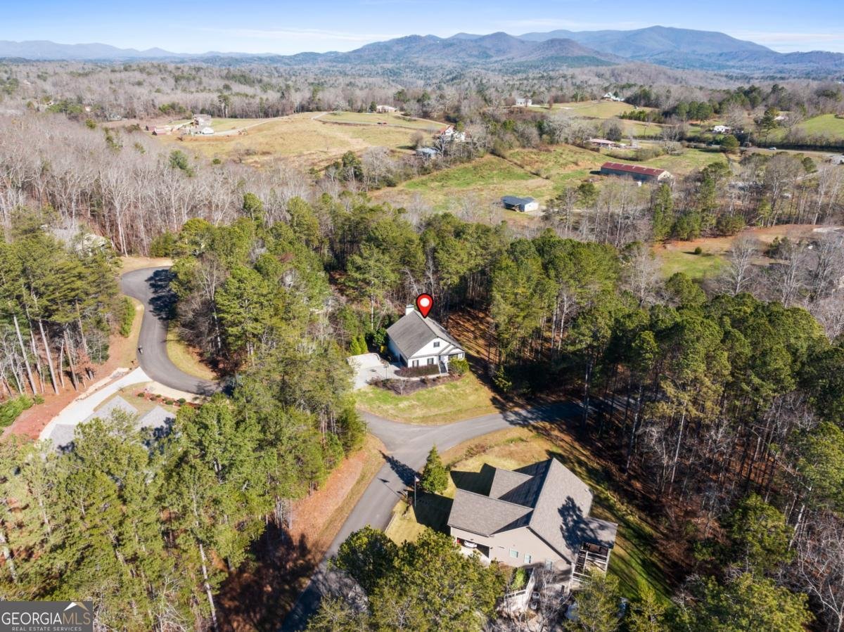 41 Brumby Trail Ellijay - Photo 8
