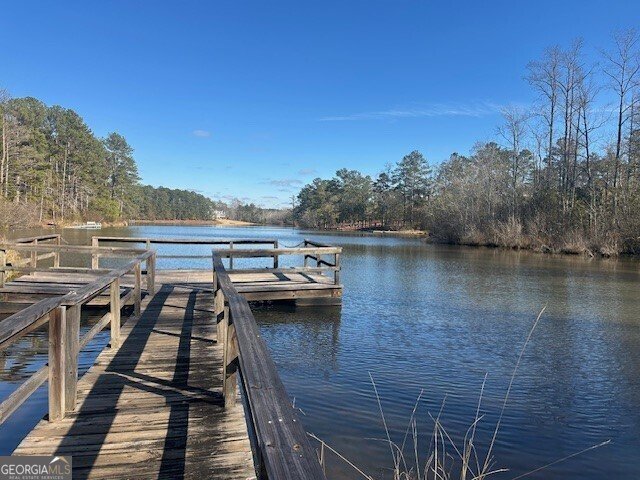 143 Buck Trail Griffin - Photo 18