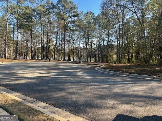 143 Buck Trail Griffin - Photo 19