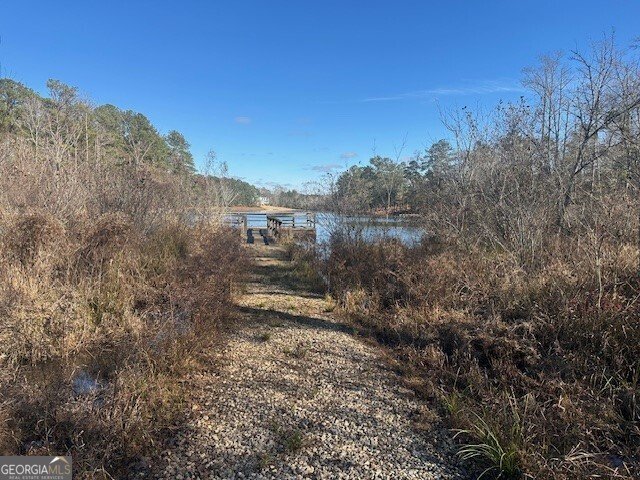 143 Buck Trail Griffin - Photo 21