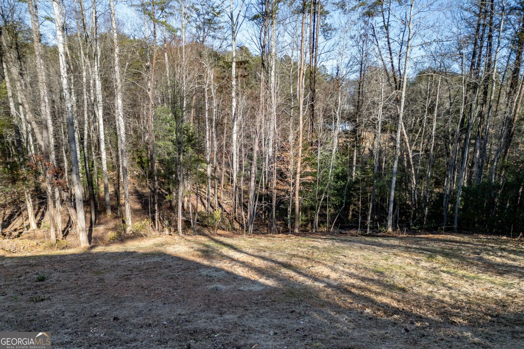 40 Huntington Ridge Road Blairsville - Photo 61