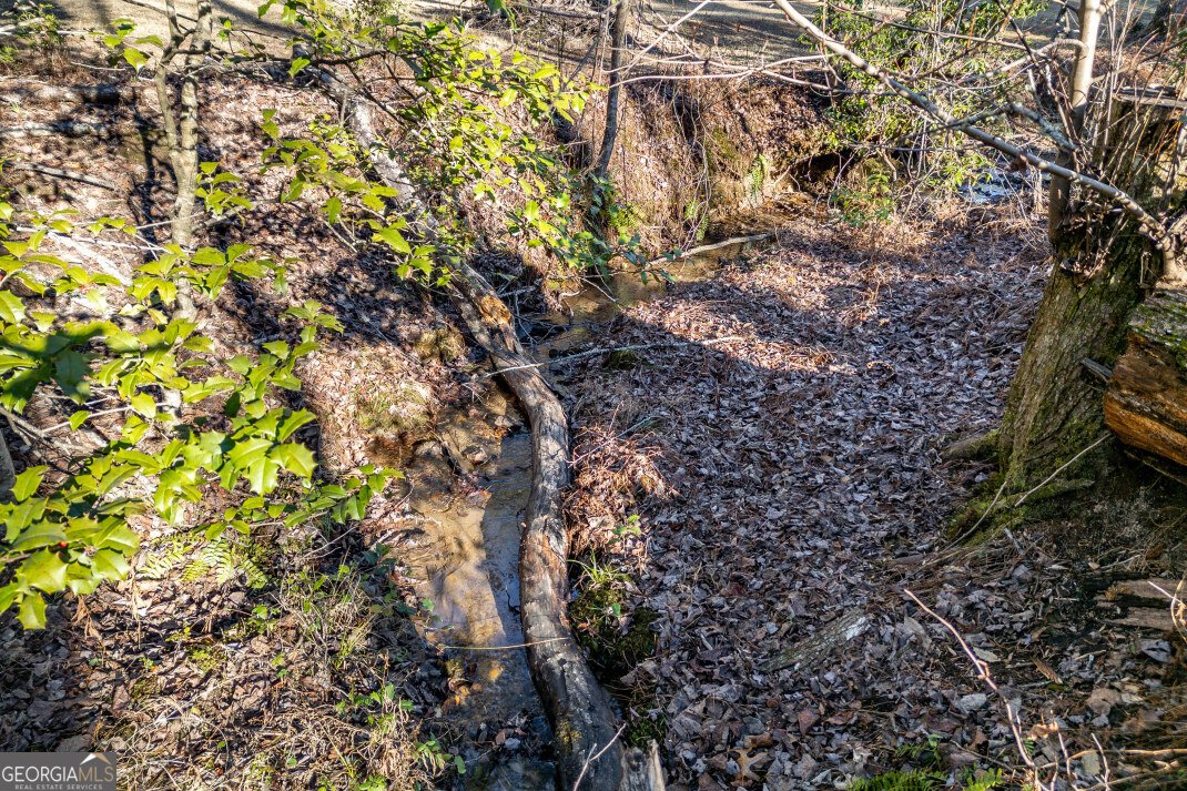 40 Huntington Ridge Road Blairsville - Photo 63