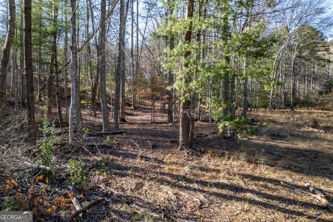 40 Huntington Ridge Road Blairsville - Photo 65