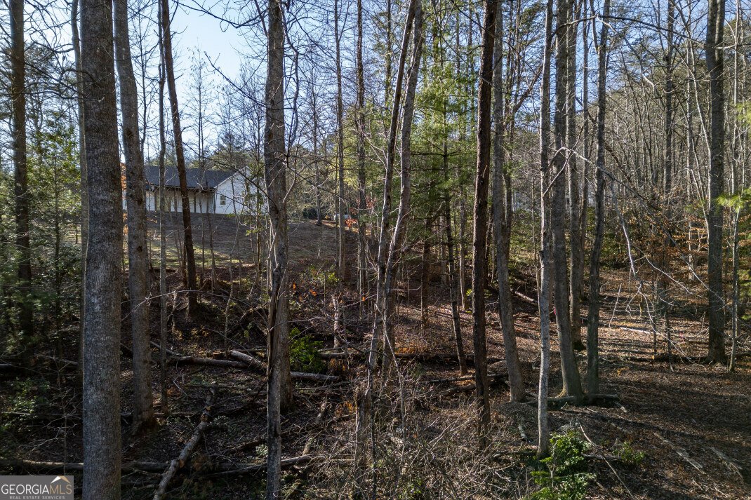 40 Huntington Ridge Road Blairsville - Photo 66