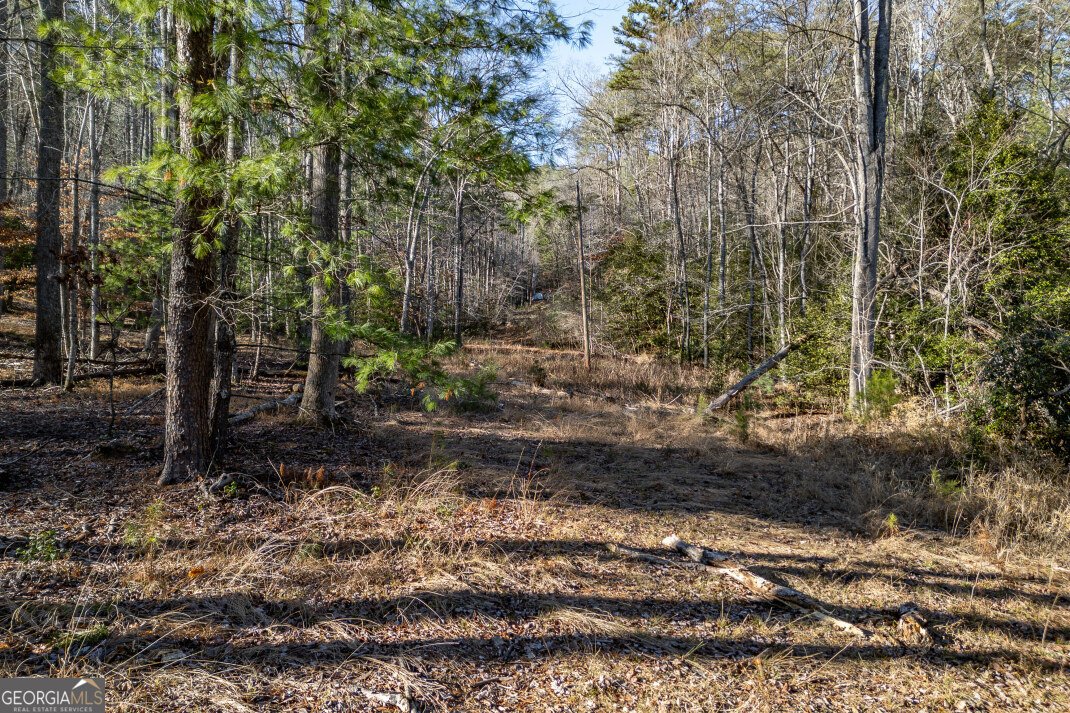 40 Huntington Ridge Road Blairsville - Photo 67