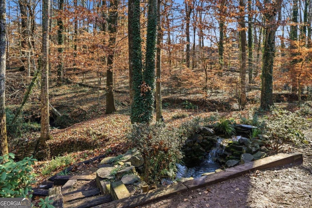 161 John Christopher Drive Alpharetta - Photo 34