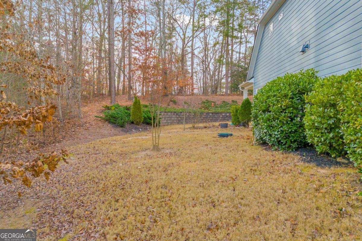 519 Huntington Drive Ball Ground - Photo 55