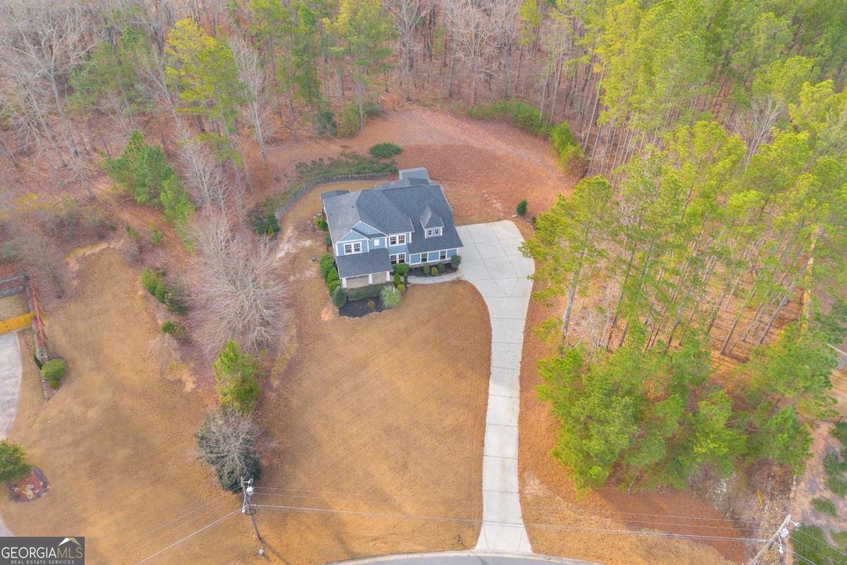 519 Huntington Drive Ball Ground - Photo 56