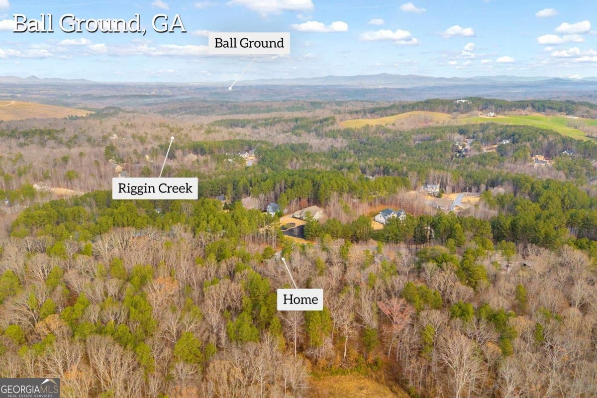 519 Huntington Drive Ball Ground - Photo 58