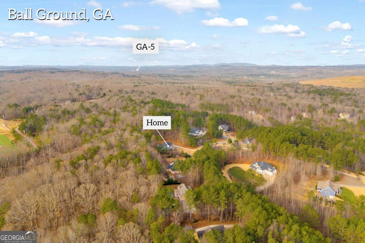 519 Huntington Drive Ball Ground - Photo 59