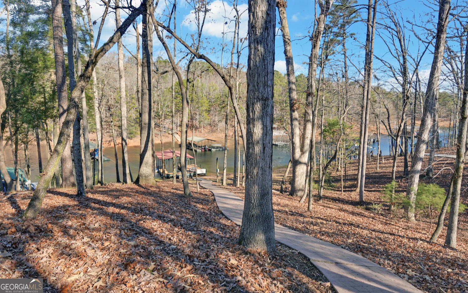 819 Tranquility Lane Hartwell - Photo 68