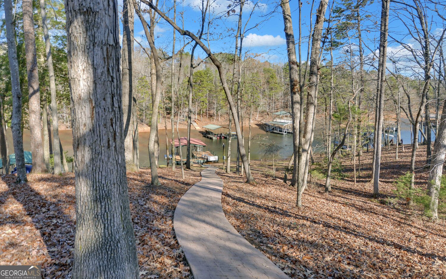 819 Tranquility Lane Hartwell - Photo 69