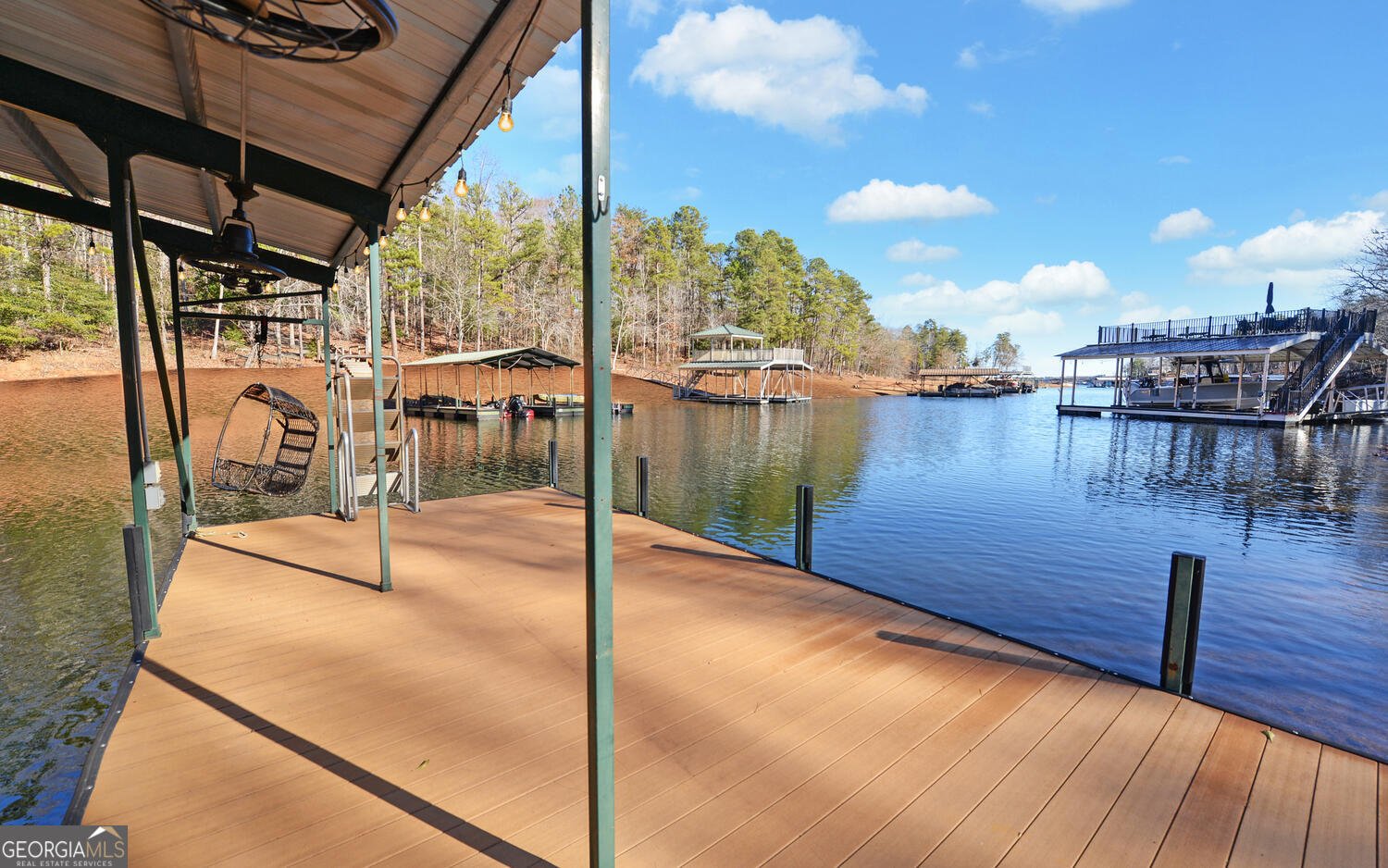 819 Tranquility Lane Hartwell - Photo 71