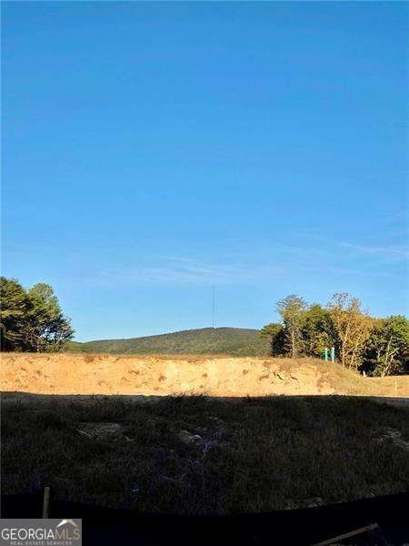 172 Cherokee Drive Waleska - Photo 14