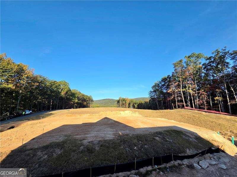 172 Cherokee Drive Waleska - Photo 17