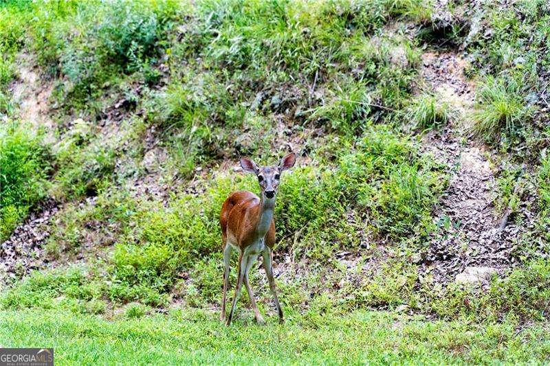 117 Fort Gibson Court Waleska - Photo 21