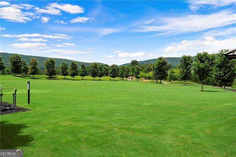 117 Fort Gibson Court Waleska - Photo 28