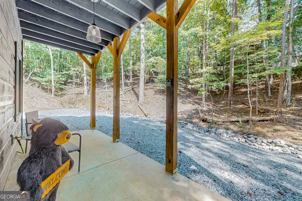 164 Echo Lane Ellijay - Photo 10