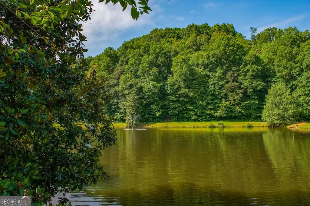 164 Echo Lane Ellijay - Photo 39