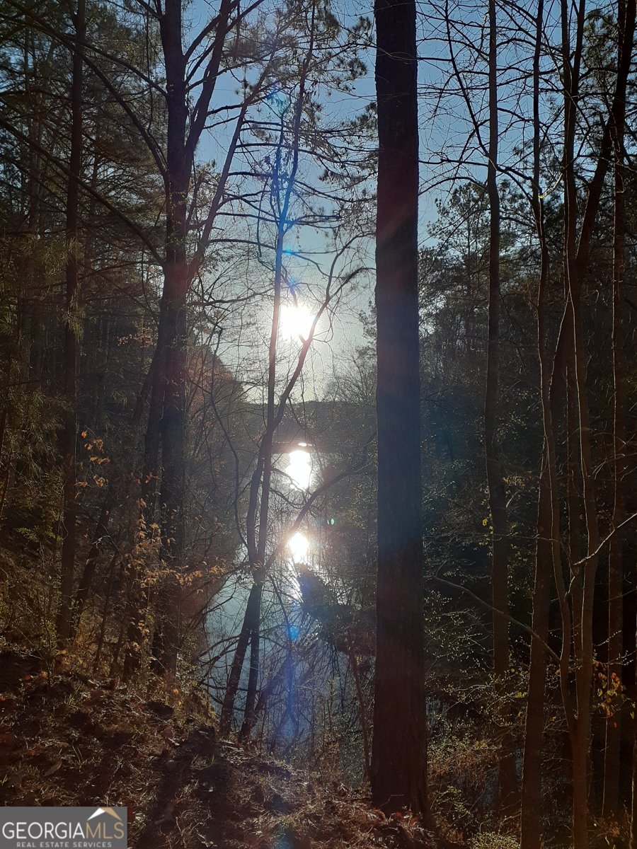 26 Mountain View Court Waleska - Photo 6