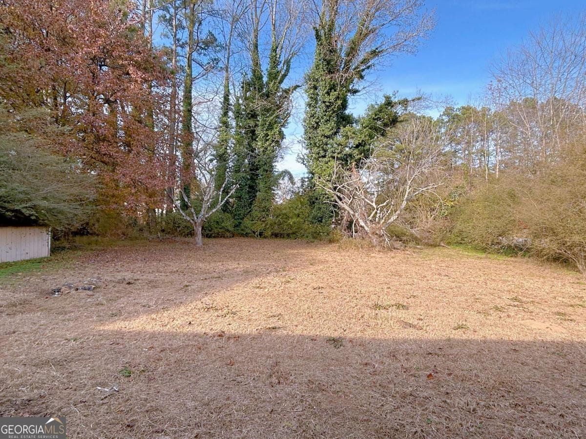 523 Vineyard Road Griffin - Photo 20