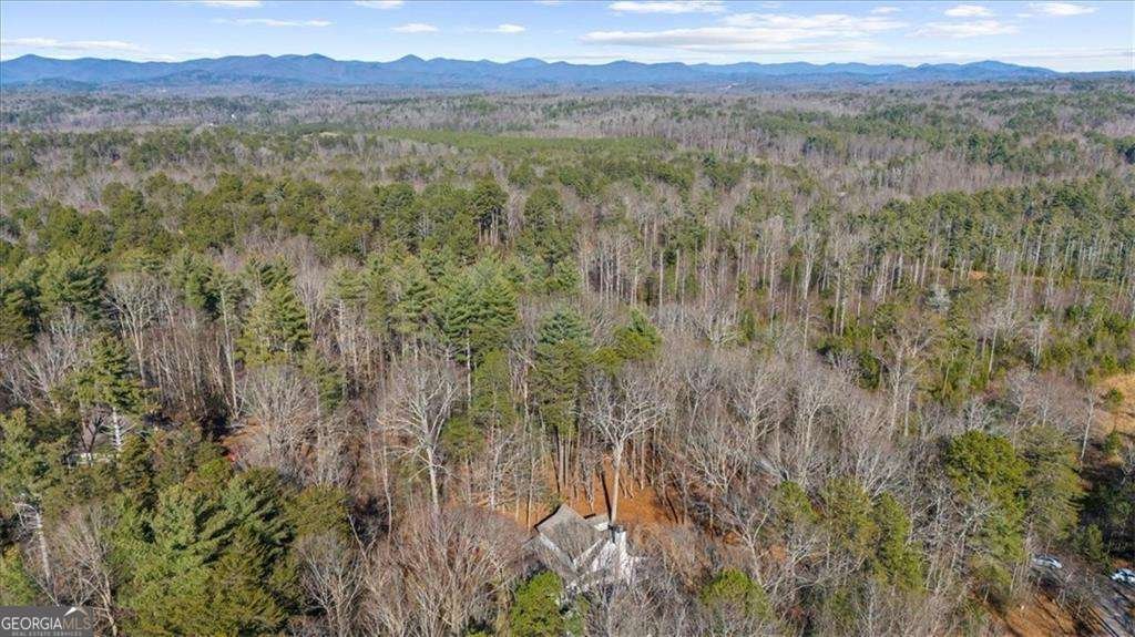 114 Deerfield Drive Dahlonega - Photo 36