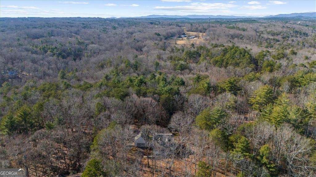 114 Deerfield Drive Dahlonega - Photo 37