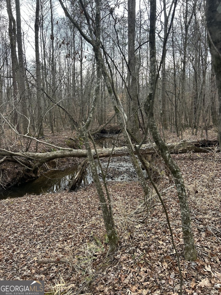 1425 Dowdy Roopville - Photo 28