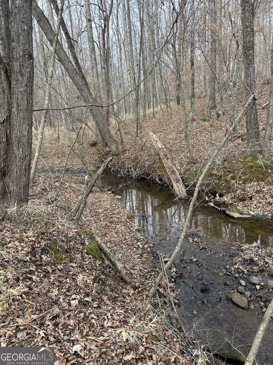 1425 Dowdy Roopville - Photo 29