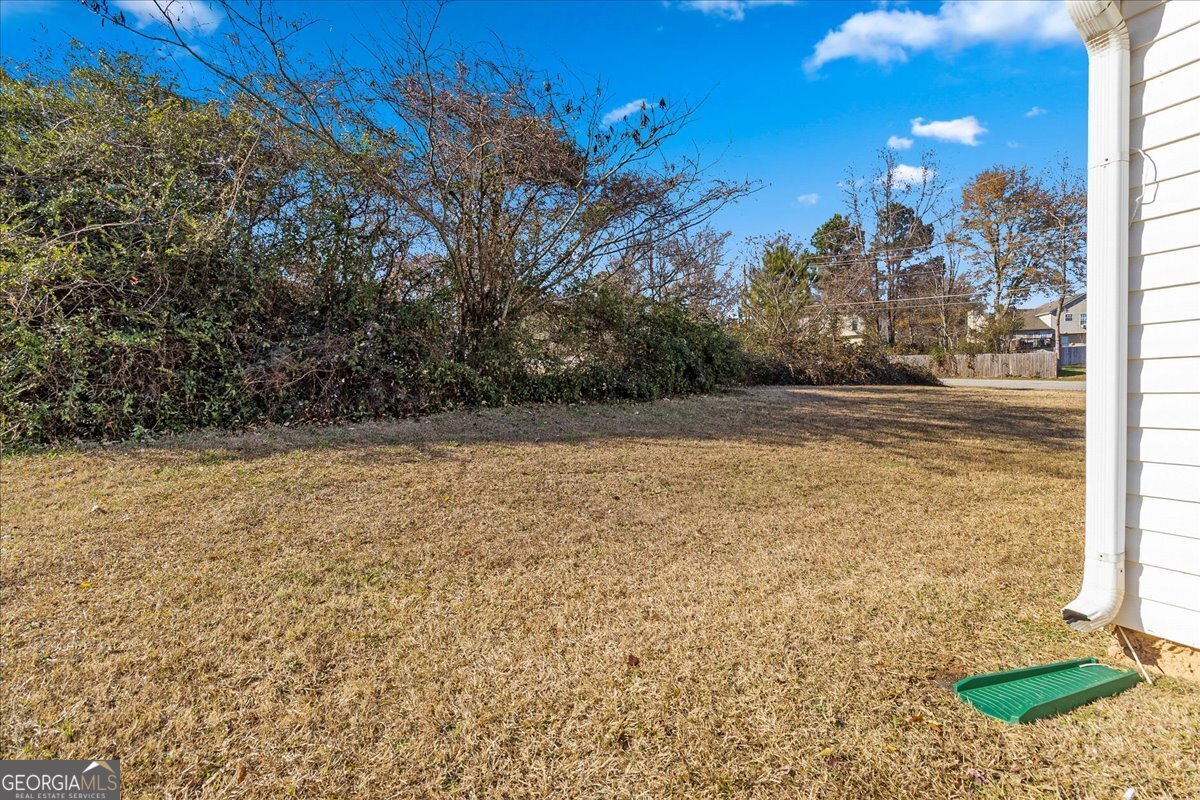 2603 Old Rex Morrow Road Ellenwood - Photo 32