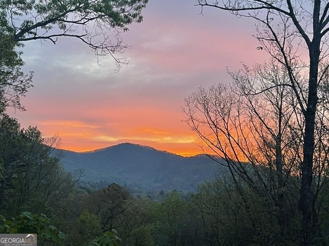 420 Hidden Acres Lane Clayton - Photo 8