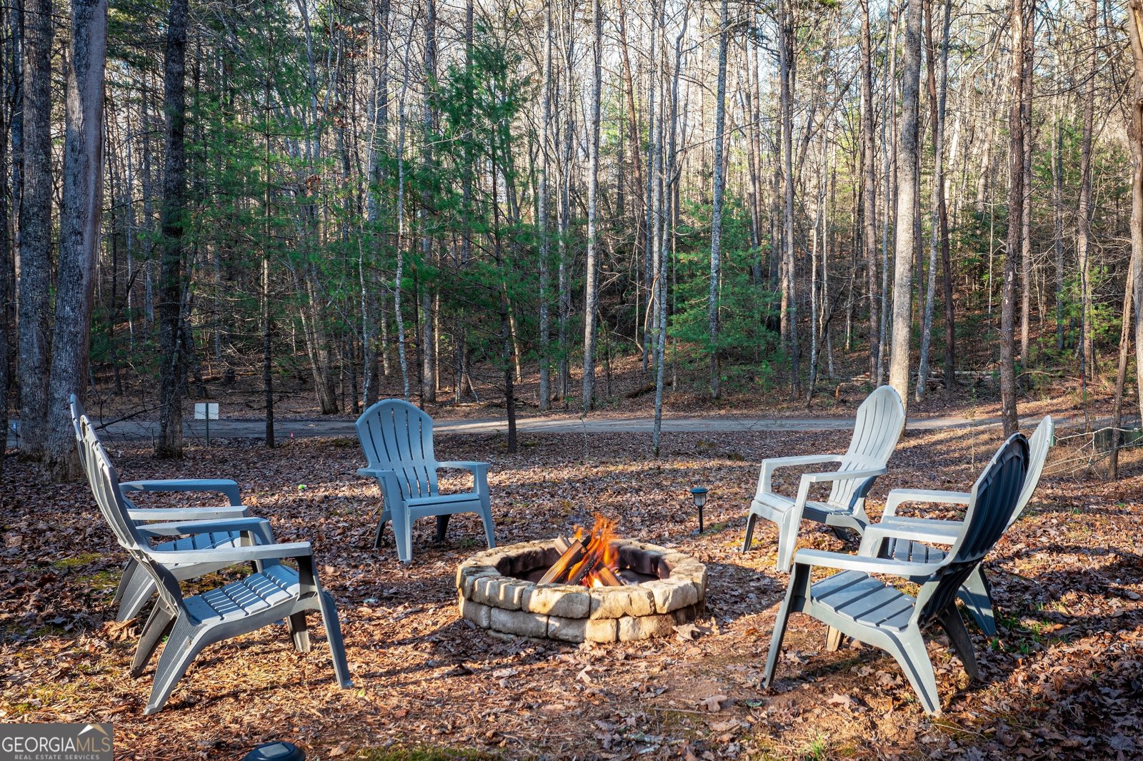 850 Mountain Lake Circle Blue Ridge - Photo 51