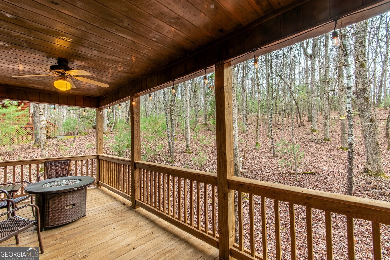 850 Mountain Lake Circle Blue Ridge - Photo 62
