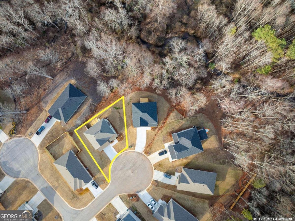 321 Magnolia Villas Drive Cornelia - Photo 42