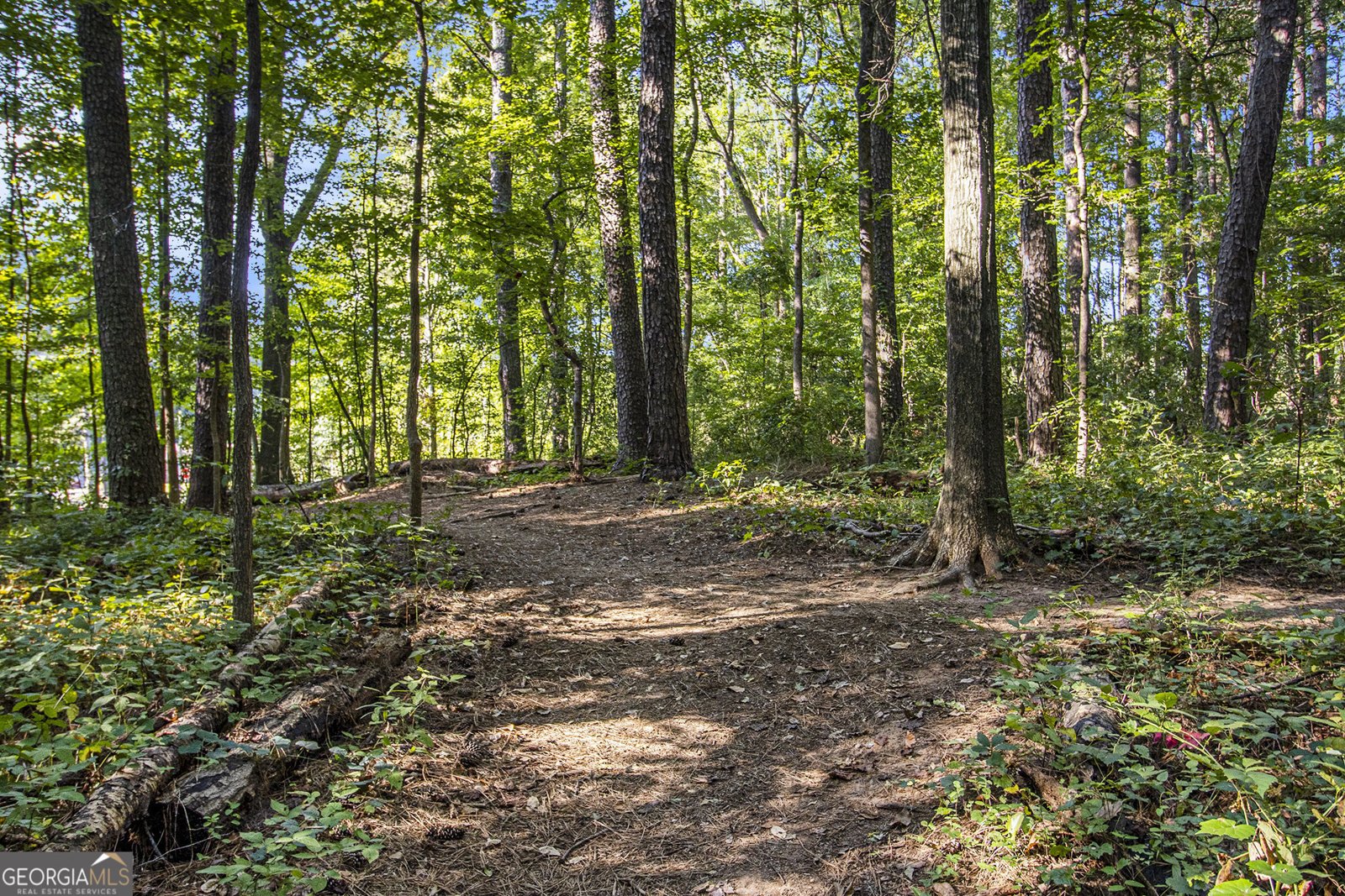 3473 Johns Road Tucker - Photo 27