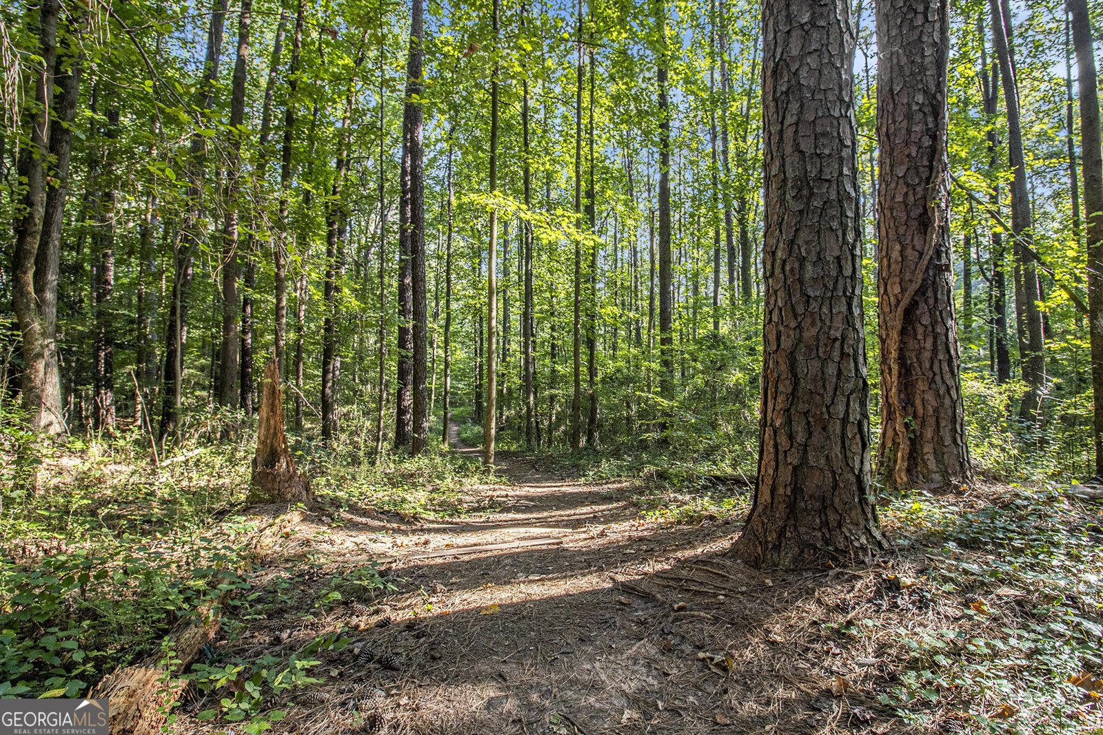 3473 Johns Road Tucker - Photo 31